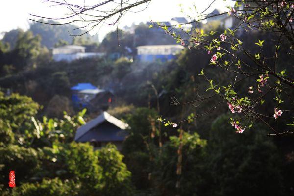 如此“节省”可能致癌